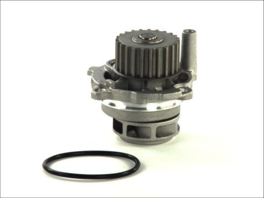 Volkswagen PASSAT Water pump 3348638 THERMOTEC D1W028TT online buy