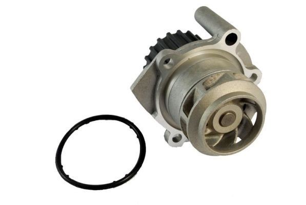 THERMOTEC D1W038TT Water pump Number of Teeth: 19, with seal, Mechanical