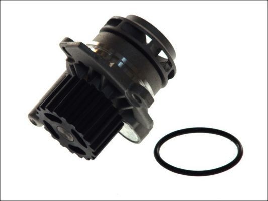 Great value for money - THERMOTEC Water pump D1W039TT