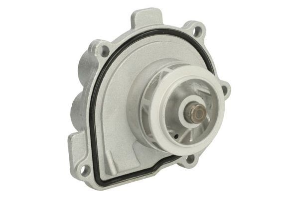 THERMOTEC D1X047TT Water pump with seal, Mechanical