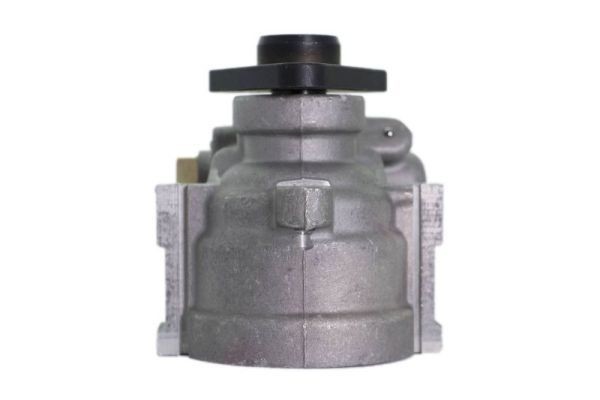 55.8088 EHPS Pump 55.8088 LAUBER Hydraulic, M16 X 1.5mm (Female)