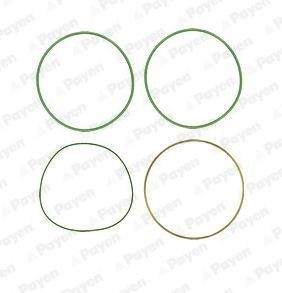 PAYEN O-Ring Set, cylinder sleeve HT018 buy