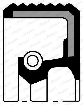 Mercedes SPRINTER Crankshaft seal 39651 PAYEN NB974 online buy