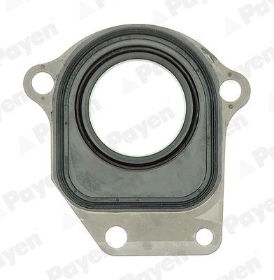 Toyota PROACE Shaft Seal, intermediate shaft PAYEN NC044 cheap