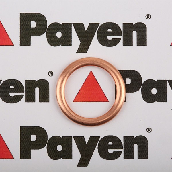Seal, oil drain plug PAYEN PA349 - Nissan X-TRAIL Gaskets and sealing rings spare parts order