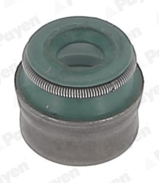Nissan INTERSTAR Gaskets and sealing rings parts - Valve stem seal PAYEN PA5041