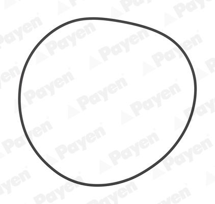 PAYEN O-Ring Set, cylinder sleeve PA708 buy