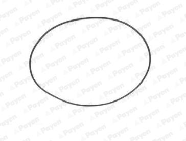 PAYEN O-Ring Set, cylinder sleeve PA708