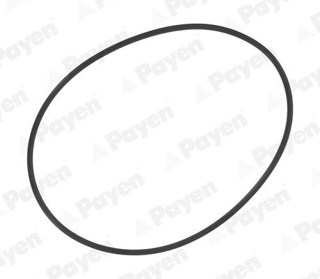 PAYEN PA709 O-Ring Set, cylinder sleeve 0119976245