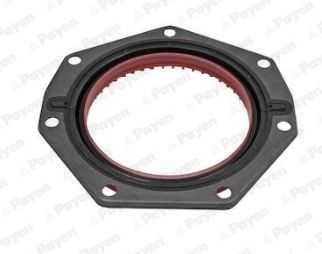 PAYEN NF883 Crankshaft seal PEUGEOT experience and price