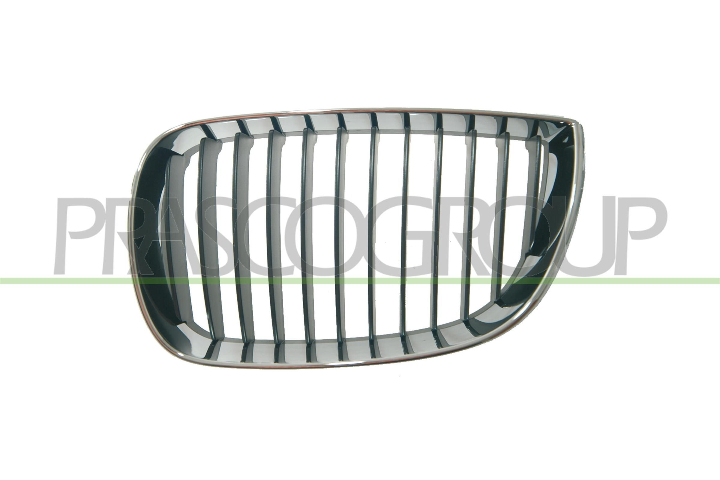 BMW 1 Series Front grill 498832 PRASCO BM1202004 online buy