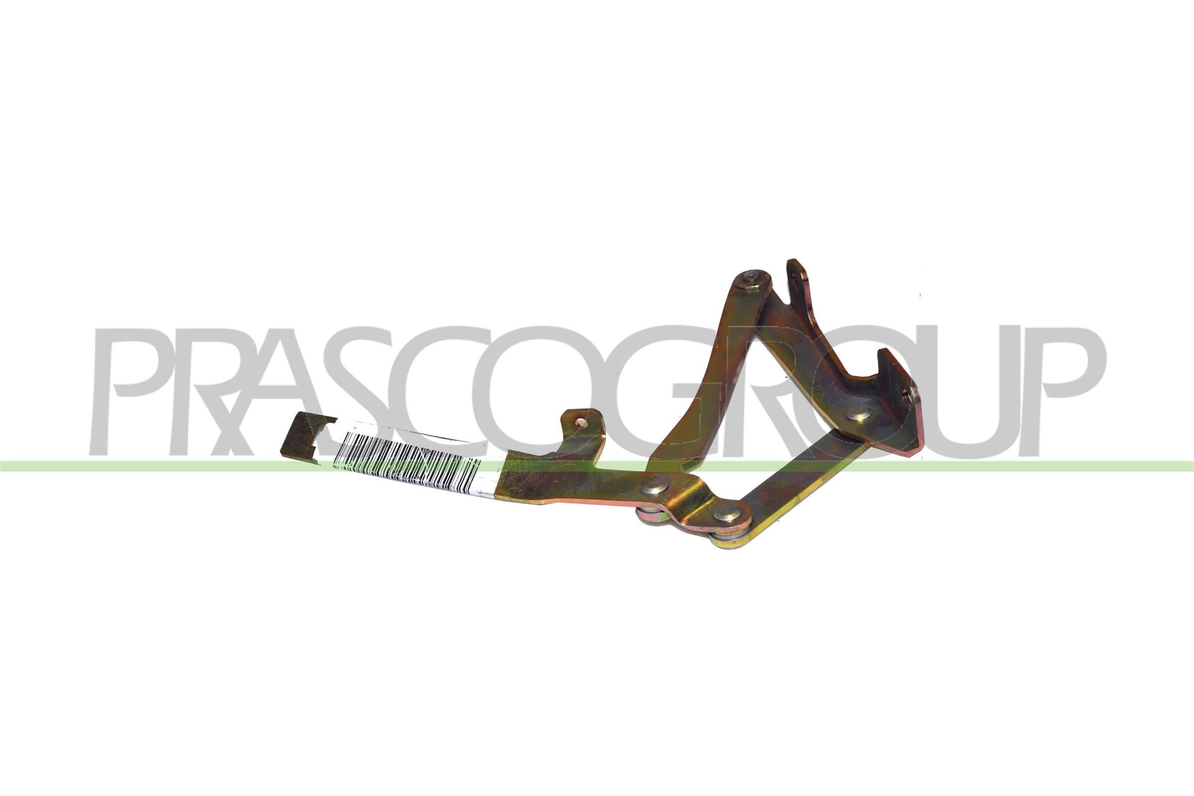 Hood and parts PRASCO Right Front - FT9193703