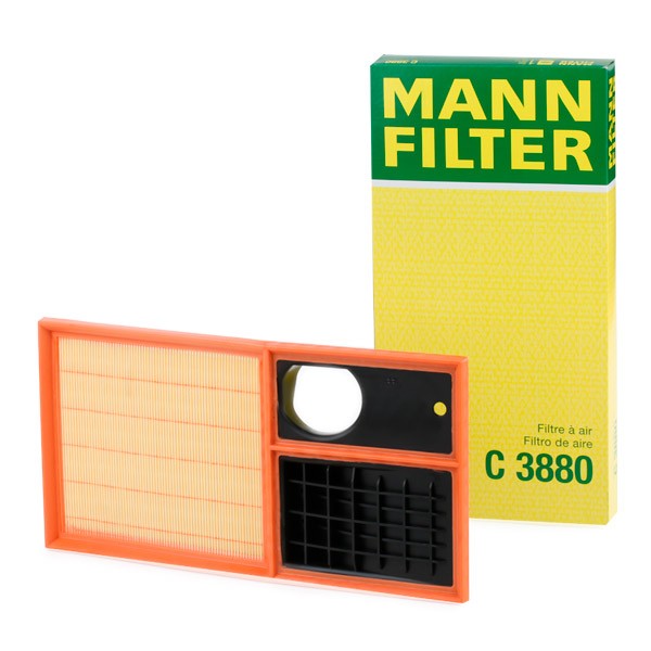 Mann Filter C50822 Air Filter 