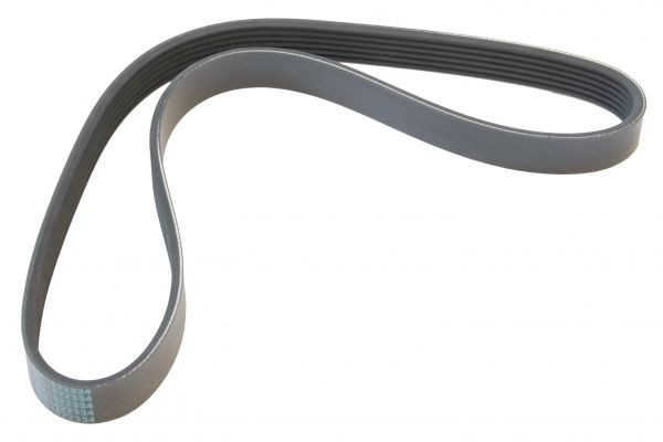 Great value for money - MAPCO Serpentine belt 260845