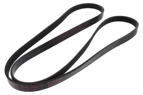 Mercedes A-Class Ribbed belt 68963 MAPCO 251745 online buy