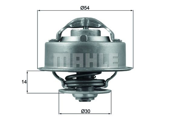 Great value for money - BEHR THERMOT-TRONIK Engine thermostat TI 132 92D