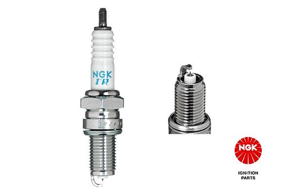 Spark Plug NGK 4873 CG Motorcycle Moped Maxi scooter