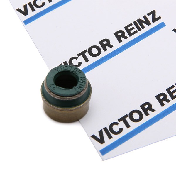 Original REINZ Valve stem oil seals 70-26058-00 for DACIA NOVA