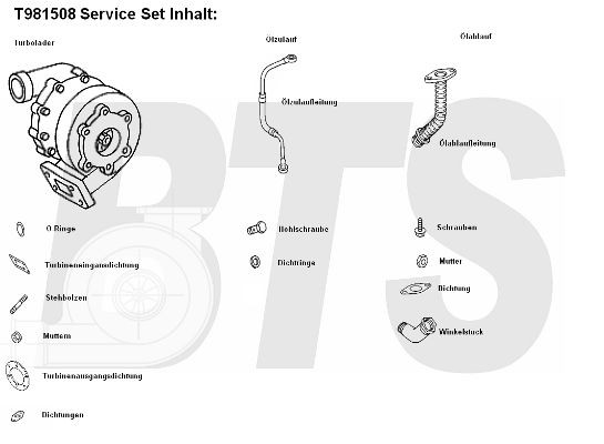 BTS TURBO T981508 Turbocharger 0090961899