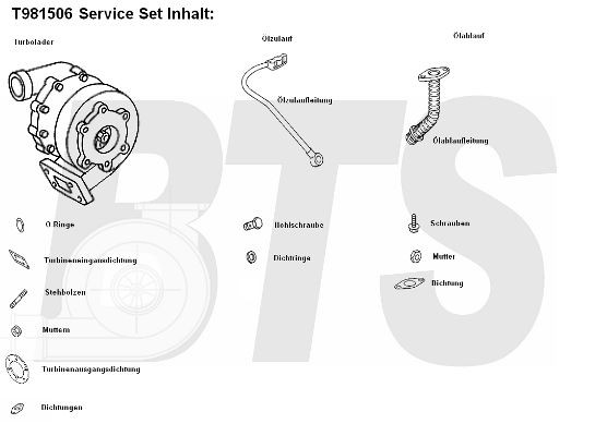 BTS TURBO T981506 Turbocharger 009 096 869 980