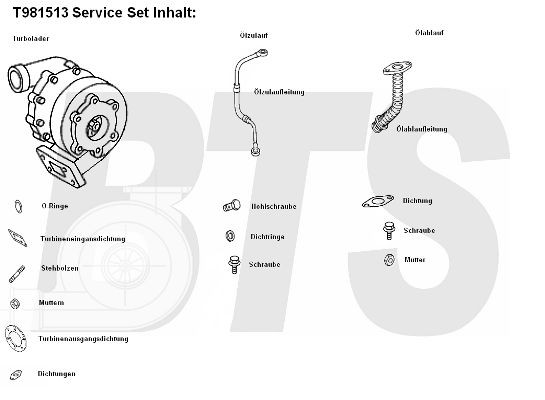 BTS TURBO T981513 Turbocharger 0060963799