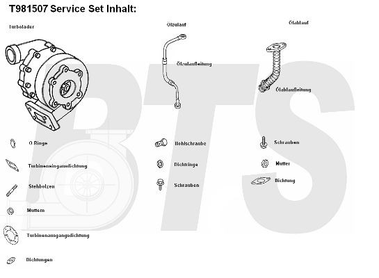 BTS TURBO T981507 Turbocharger 009 096 87 99 80