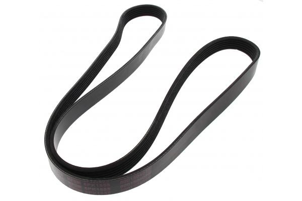 Great value for money - MAPCO Serpentine belt 261555