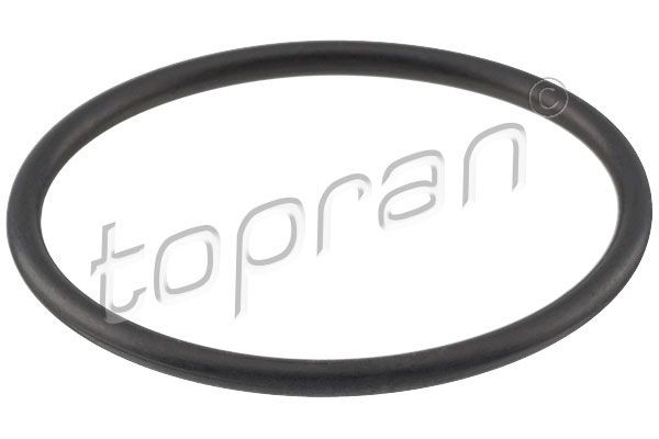 TOPRAN Gasket, thermostat 113 458 Volkswagen POLO 2007