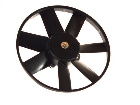 Great value for money - THERMOTEC Fan, radiator D8W014TT