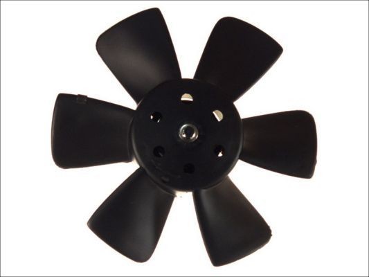Great value for money - THERMOTEC Fan, radiator D8W013TT
