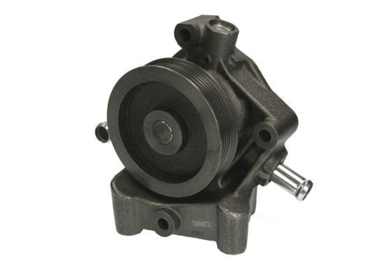THERMOTEC D1P047TT Water pump Number of Teeth: 6, with seal, Mechanical
