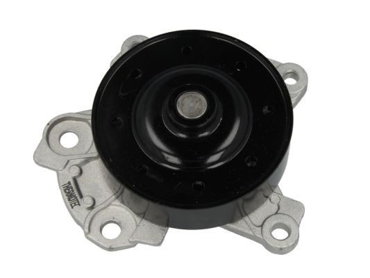 THERMOTEC D12096TT Water pump with seal
