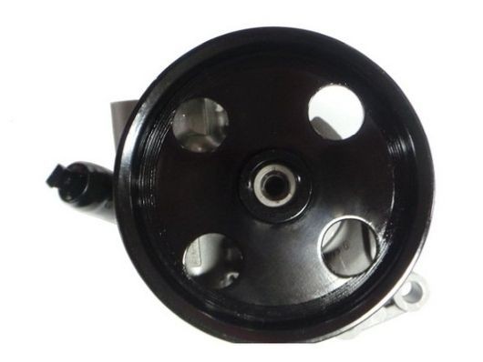 SPIDAN Hydraulic, 128 bar, Number of ribs: 6, Belt Pulley Ø: 120 mm Steering Pump 54589 buy
