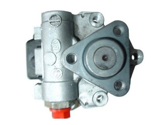 SPIDAN 54280 Power steering pump 99731402000