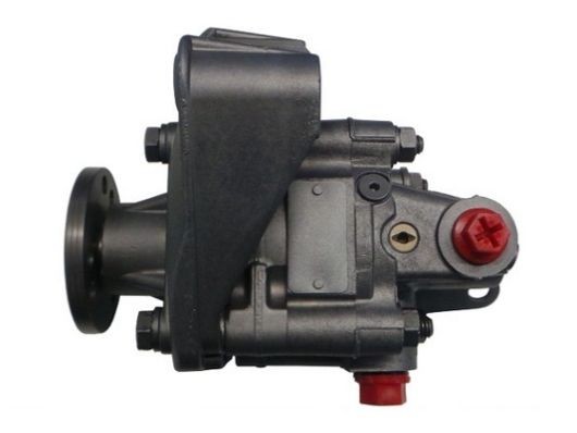 53615 Hydraulic Pump, steering system SPIDAN 53615 review and test