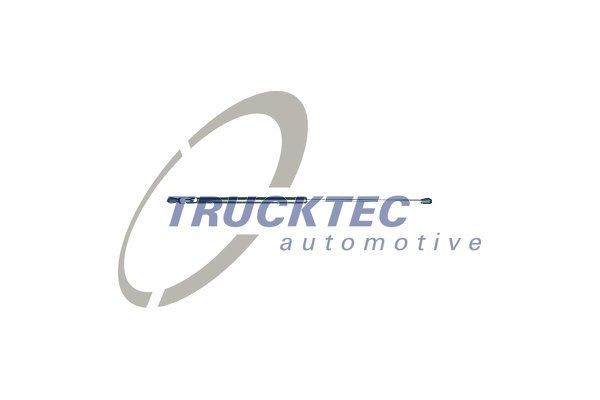 TRUCKTEC AUTOMOTIVE 01.66.006 Gas Spring, front panel