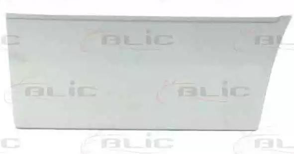 BLIC Doors / parts Volkswagen 6015-00-3546122P in original quality