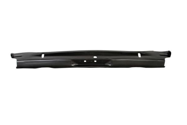 Ford Rear Panel BLIC 6503-05-2515681P at a good price