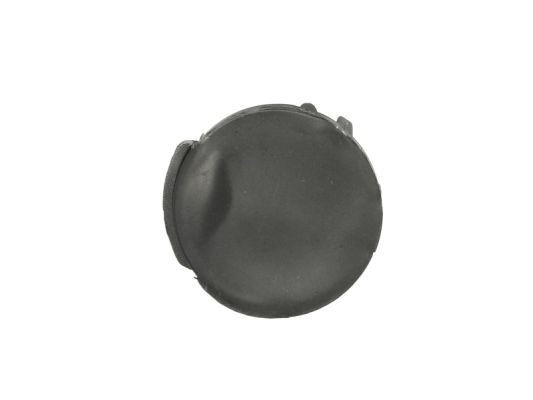 BLIC 5513-00-5052920P LAND ROVER Cover, towhook in original quality