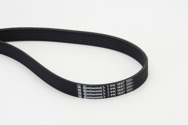 Mercedes-Benz VITO Belts, chains, rollers parts - Serpentine belt CONTITECH 7PK1687