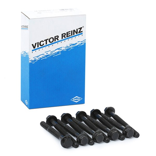 REINZ 143209301 Cylinder head bolt kit Fiat Punto Mk2 1.2 Natural Power 60 hp Petrol/Compressed Natural Gas (CNG) 2010 price