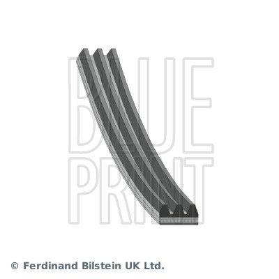 Ford TRANSIT Aux belt 7185618 BLUE PRINT AD03R763 online buy
