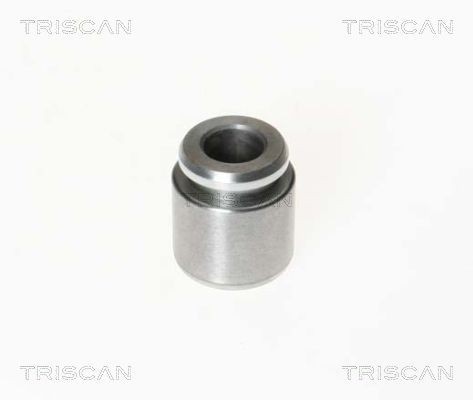 Great value for money - TRISCAN Piston, brake caliper 8170 232801