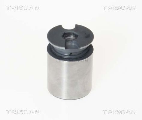 Original TRISCAN Piston, brake caliper 8170 233863 for FORD MONDEO