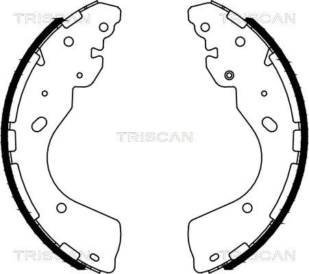 TRISCAN 8100 14012 Brake Shoe Set 300 x 57 mm