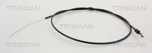 Hood and parts TRISCAN - 8140 28612