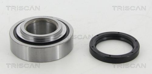 TRISCAN 853041208 Wheel bearing kit 42410-B2010