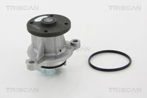 TRISCAN Water pumps 8600 43020 buy