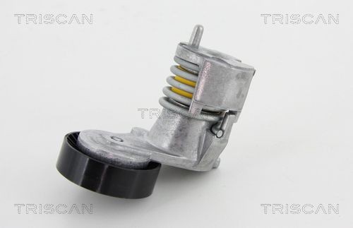 TRISCAN 8641103028 Tensioner pulley 30650957