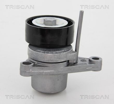 TRISCAN 8641283003 Tensioner pulley 16 114 252 80